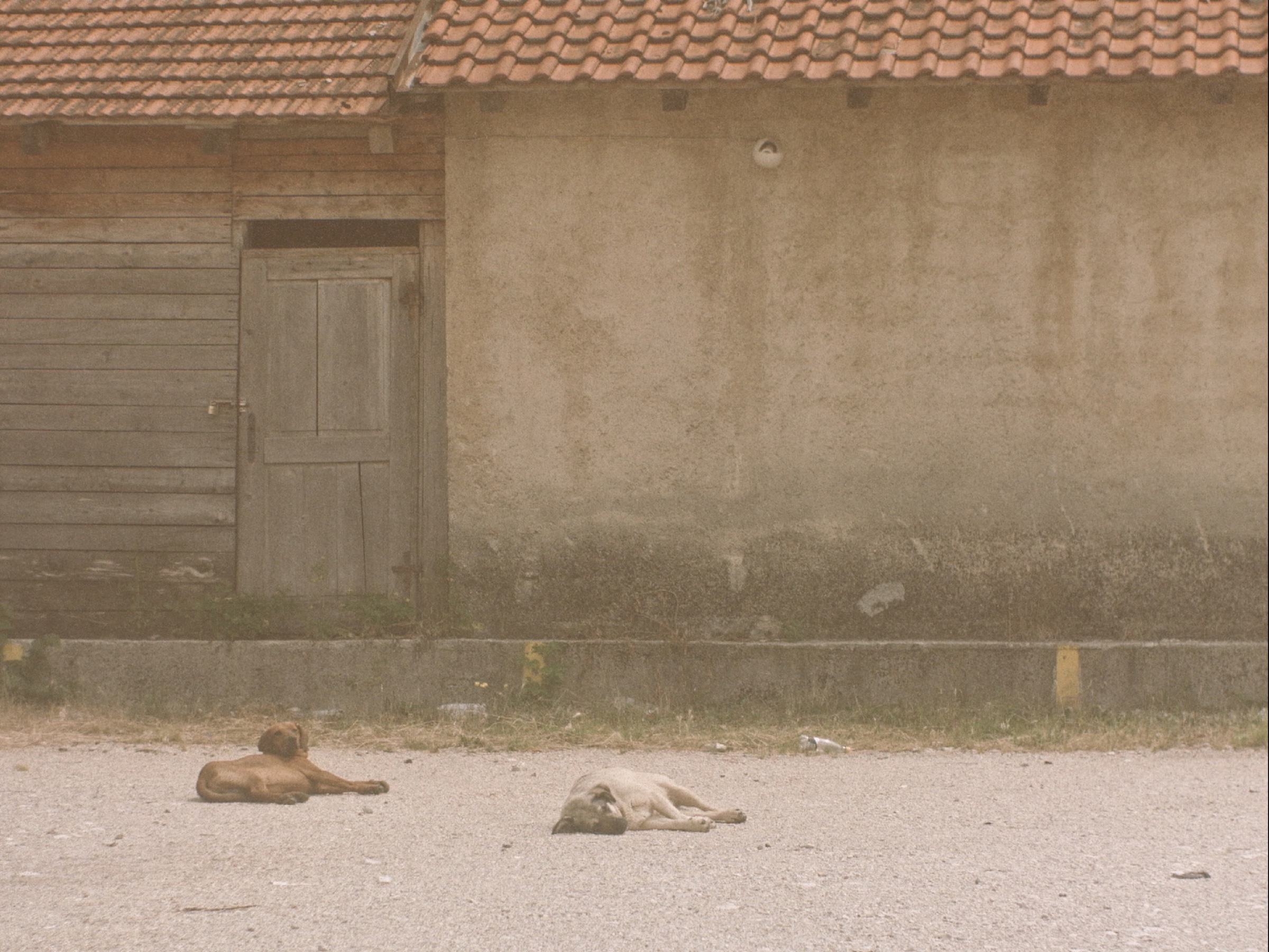 Zašto mama vazda plače - still 3