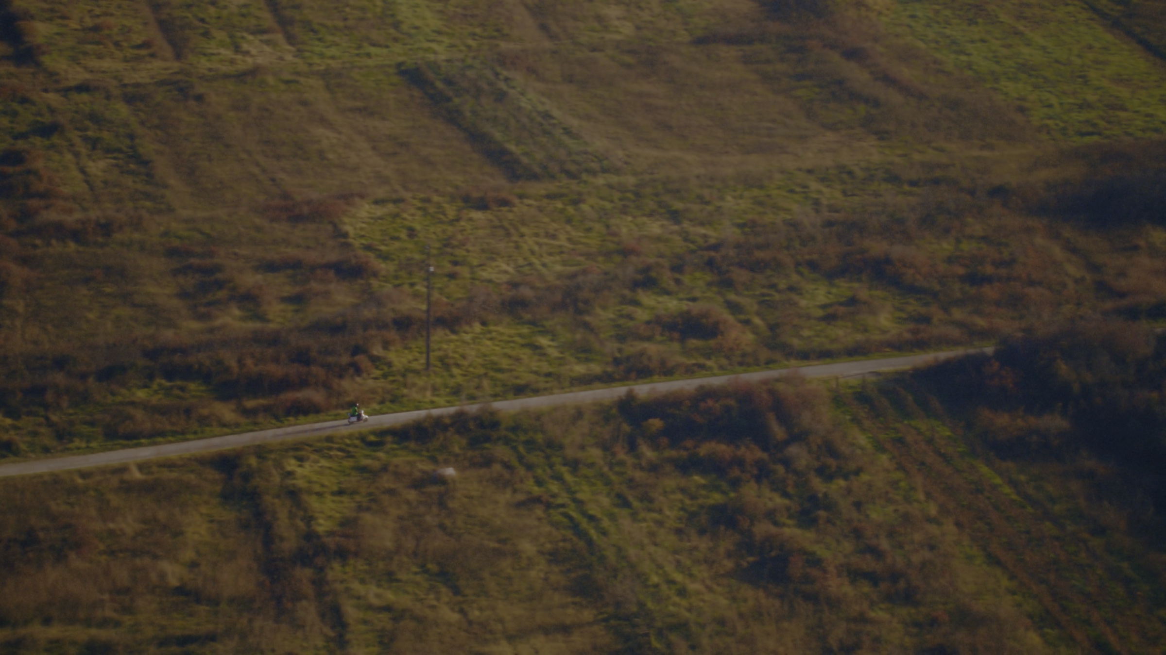 ZOSTER - Sin Tadijin - still 7